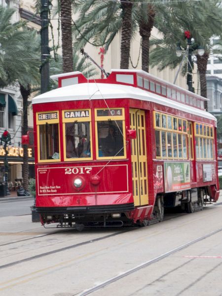A red streetcar travels down a city street with palm trees and buildings in the background, alongside shops and a few pedestrians.