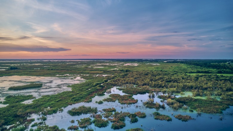 A serene landscape featuring a wetland with patches of green vegetation, reflecting a colorful sky at sunset.