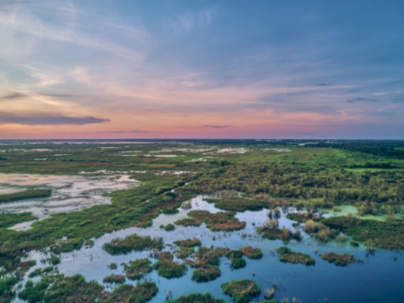 The image shows a vast wetland landscape with green vegetation and water patches under a colorful sunset sky.